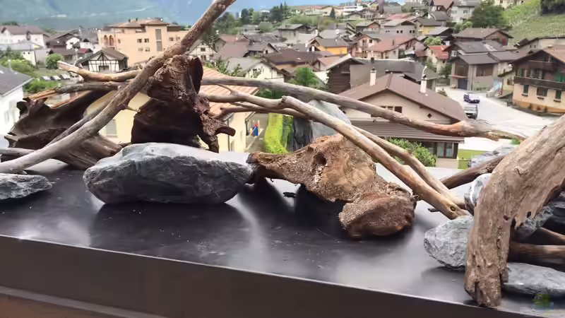 Deko 1 von Rubens (5)