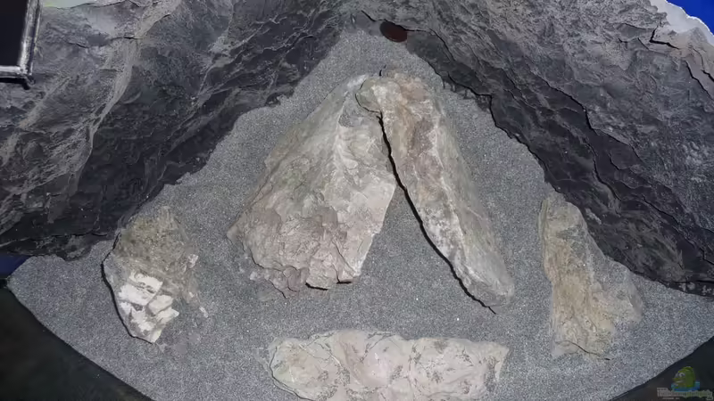 Deko 2 von DER YBBSTALER (35)