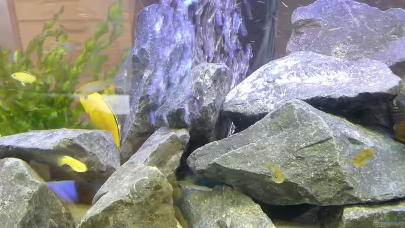 Deko 2 von Dominik Jerg (8)