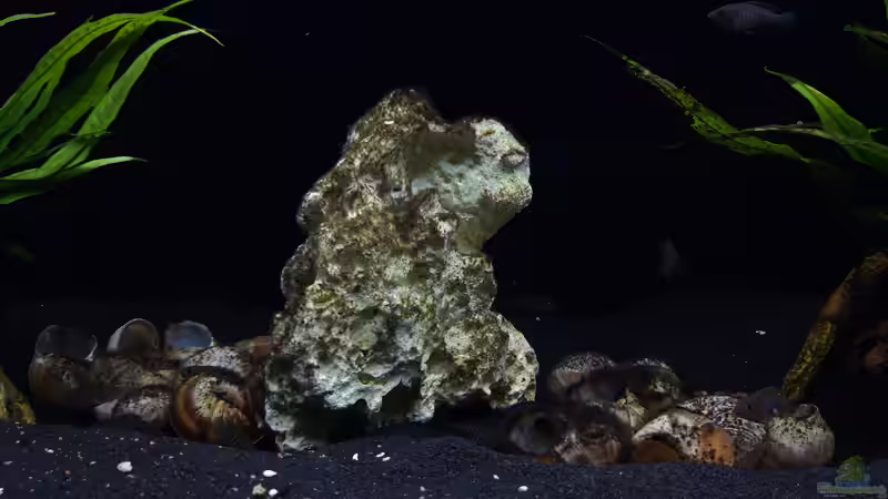 Deko_20211028 von Mich (9)