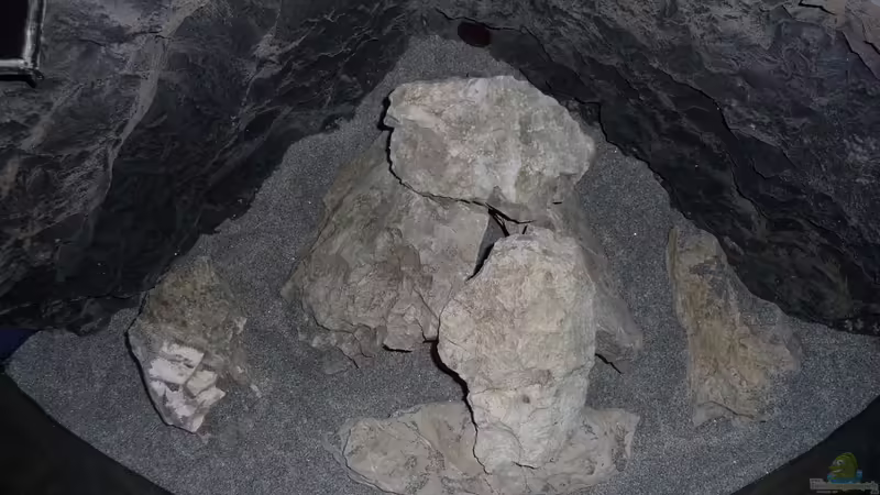 Deko 3 von DER YBBSTALER (36)