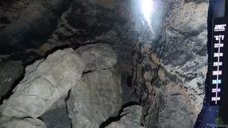 Deko 4 von DER YBBSTALER (37)