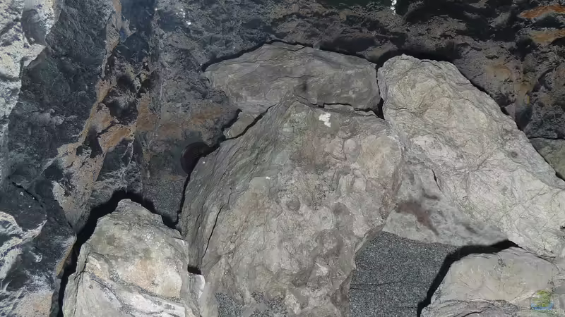 Deko 5 von DER YBBSTALER (38)