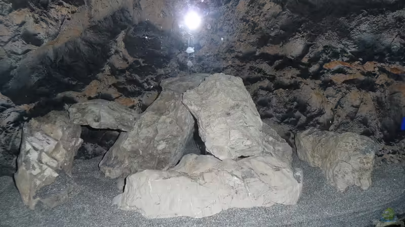 Deko 6 von DER YBBSTALER (39)