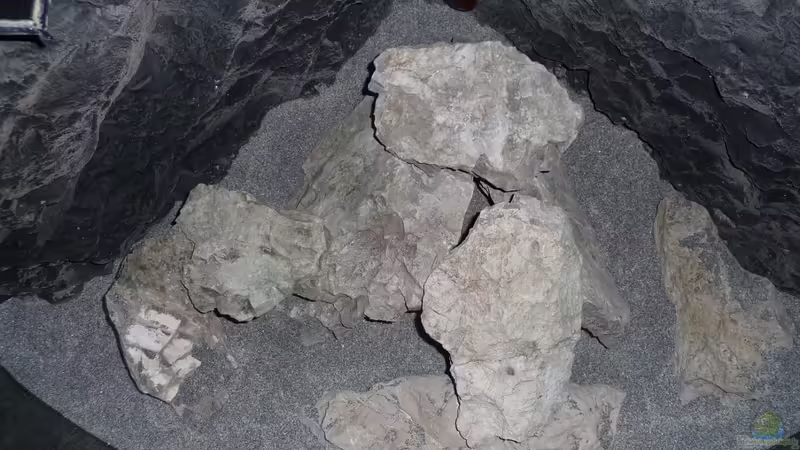 Deko 7 von DER YBBSTALER (40)