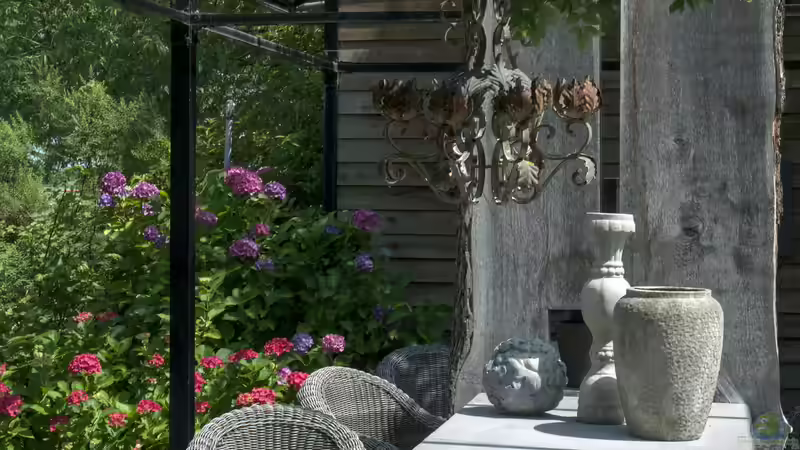 Deko aus Beton im Garten: Kreative Ideen, langlebige Gestaltung und zeitlose Ästhetik