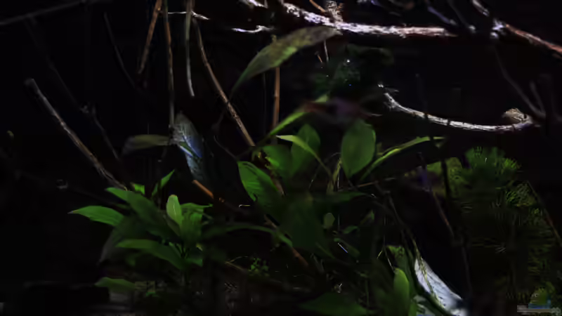 Deko Eindrücke von Florian Bandhauer (20)