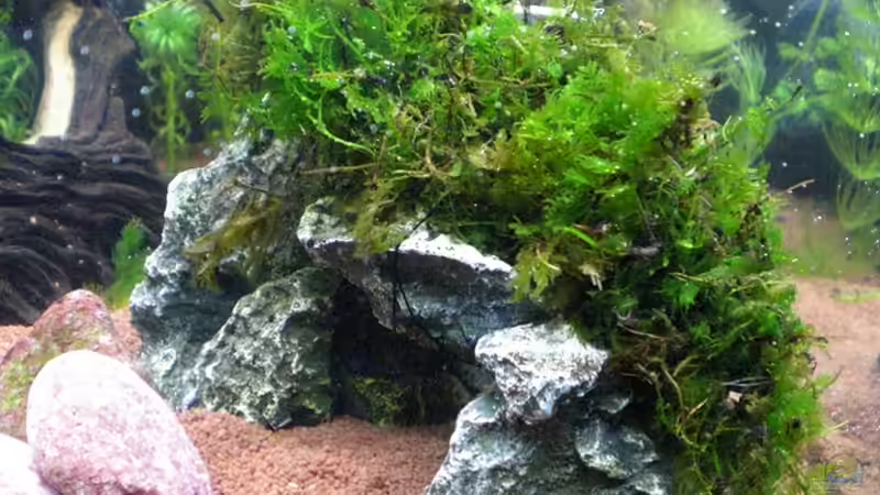 Deko-Felsen mit Willowmoos von Gabi Schmidt (7)