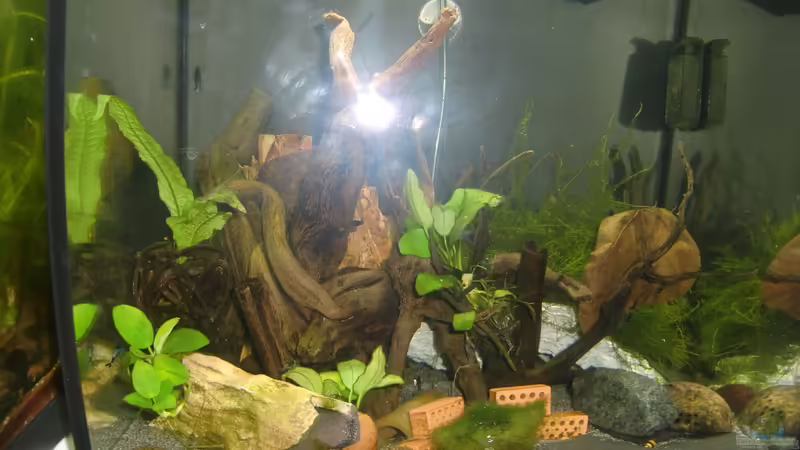 Deko gesamt von HOTU (16)