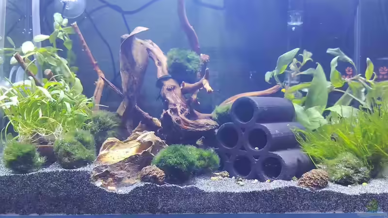 Deko Höhle von HOTU (11)