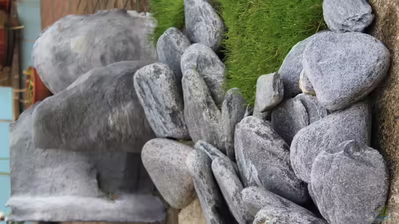 Deko im ??berblick von Borg (12)