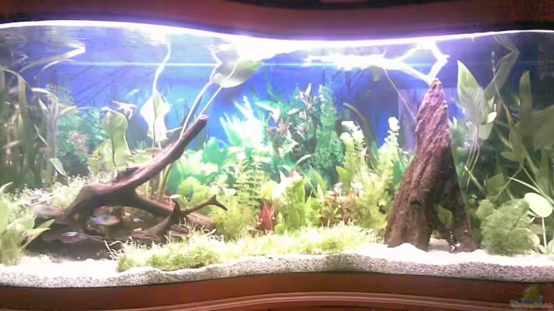 Deko in der Totalansicht von Nicolas Und Sabrina Riemann (3)