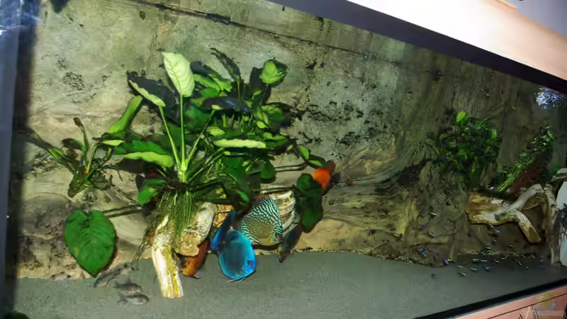 Deko komplett von Jens Beier (7)