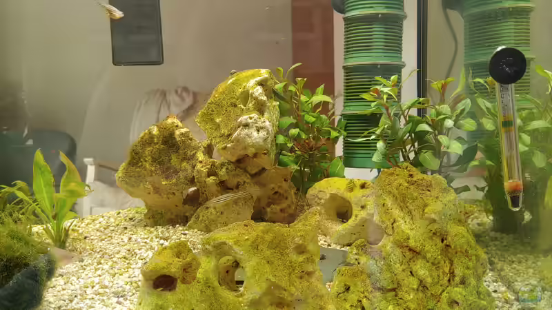 Deko Lochsteine  von Juno (12)