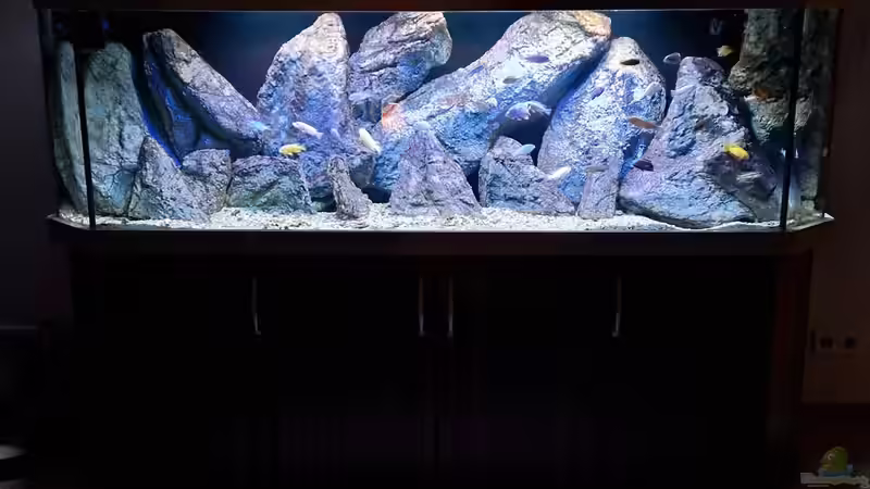 Deko perfekt von Sven Meyer (16)