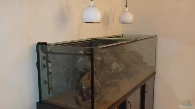 Deko steht, Kies eingefüllt von Crenii (18)