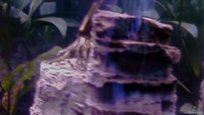 Deko-Stein von Jessy L. (10)