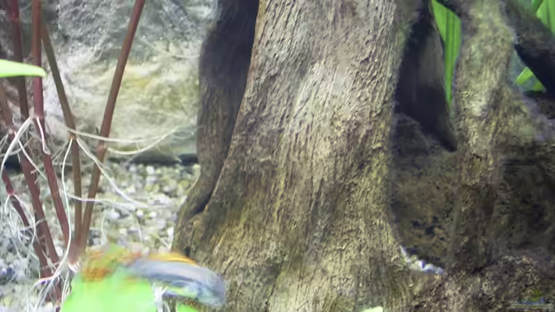 Deko-Steinhöhle von Bernd Milbrandt (12)