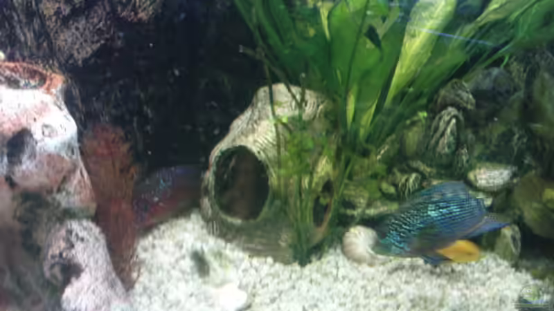 Deko Ton von Stgt.WEST (17)