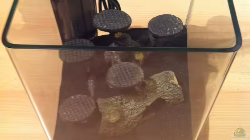 Deko und Filter von RoZan (4)