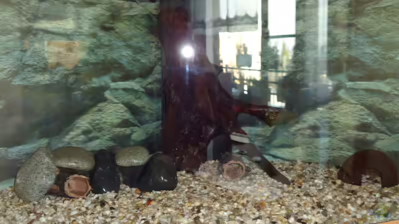 Deko von atom010 (14)