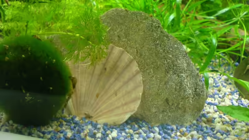 deko von Joschka Bienhüls (6)