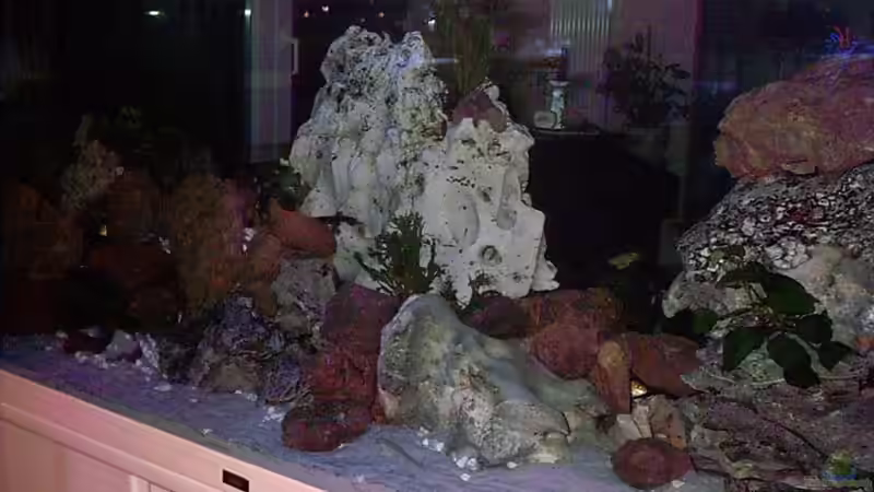 Deko von Markus Parthe (9)