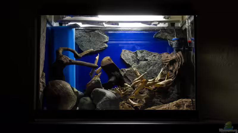 Dekoration auf Probe von GoreSlayer (4)