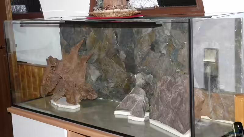 Dekoration auf Styrodurplatten um den Glasboden nicht zu beschädigen von Ravenclaw57 (6)