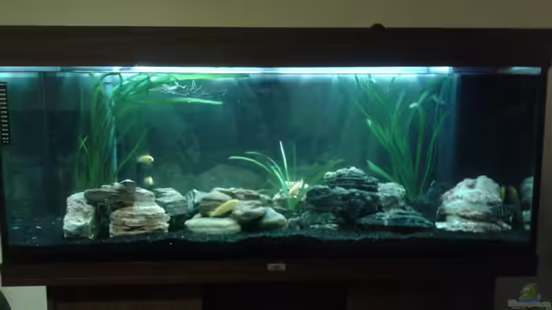 Dekoration fertig :) von Michi1987 (2)