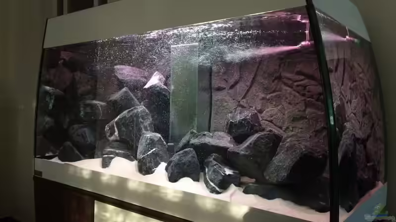 Dekoration fertig und befüllt (06.02.2015) von Hanse-Hannes (3)