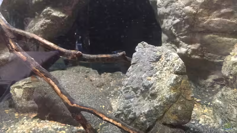 Dekoration im Aqua von Dresdn3r (9)