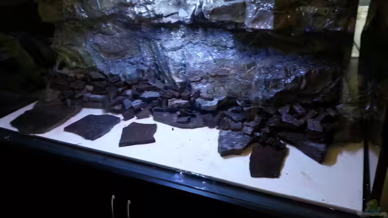 Dekoration im Aquarium -Malawisee in Köln- von Thomas B. (10)