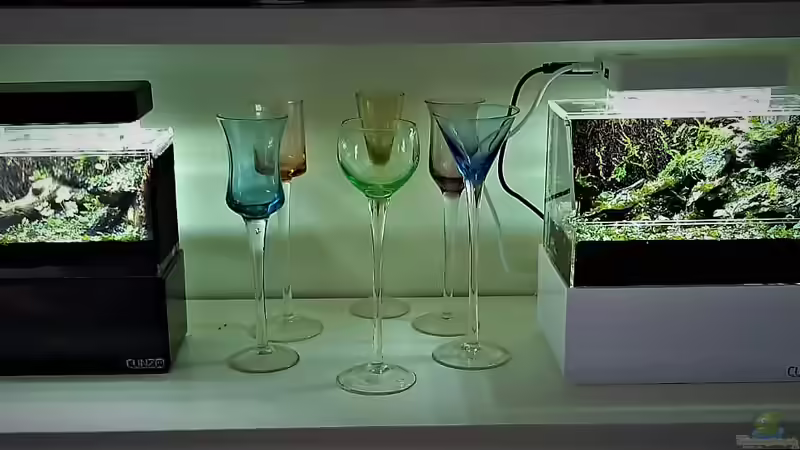 Dekoration im Aquarium 13 x 7,5 x 8 cm aufgelöst von Junglist (8)