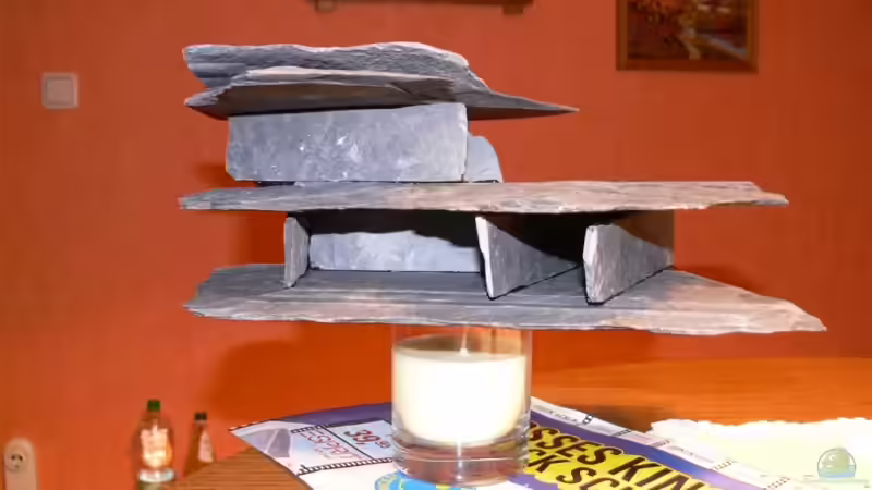 Dekoration im Aquarium 160L von Lexterpower (12)