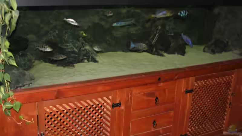 Dekoration im Aquarium 3-2-1-meins von g-dopt (3)