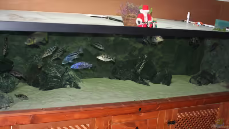 Dekoration im Aquarium 3-2-1-meins von g-dopt (4)