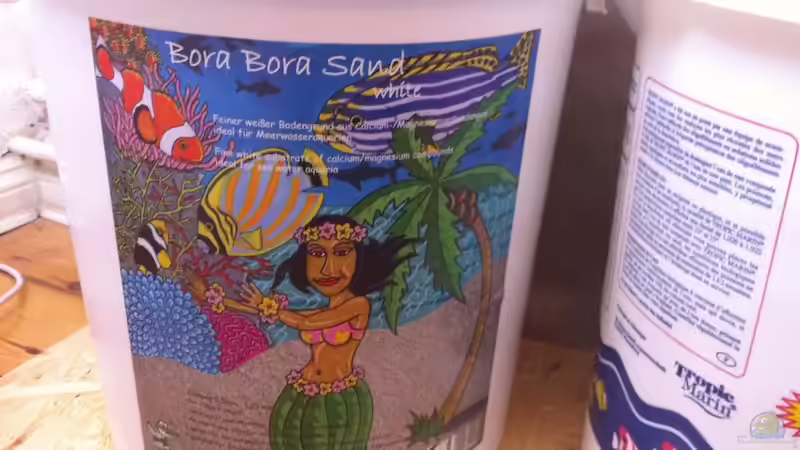 Dekoration im Aquarium 300L44 von Patrick Fisch (6)