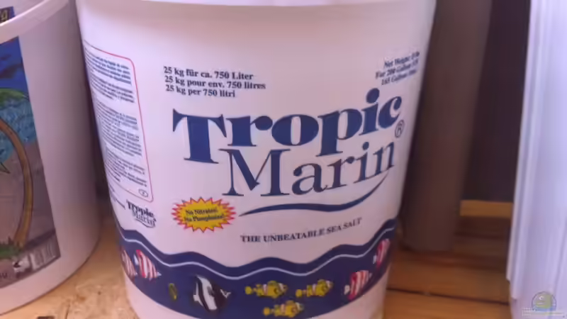 Dekoration im Aquarium 300L44 von Patrick Fisch (7)