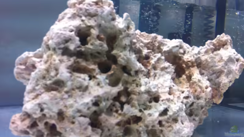 Dekoration im Aquarium 300L44 von Patrick Fisch (8)