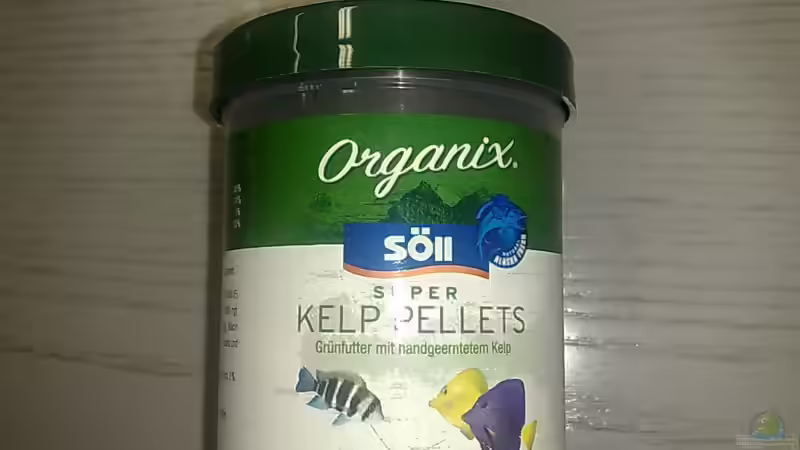 Dekoration im Aquarium 375L Mbuna - nur noch als Beispiel - von Marco O. (26)