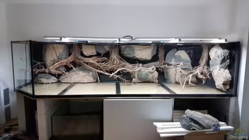Dekoration im Aquarium 4.500l-Becken von Amazonasbecken.eu (11)