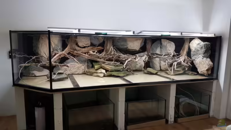 Dekoration im Aquarium 4.500l-Becken von Amazonasbecken.eu (12)