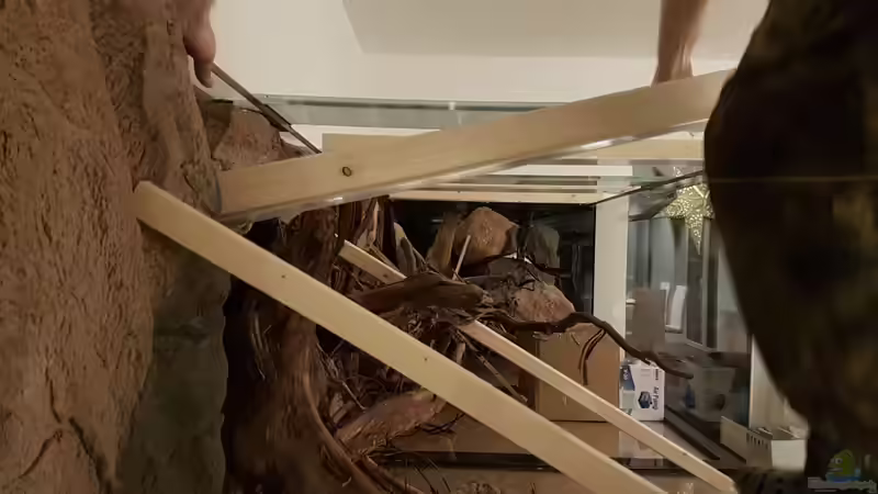 Dekoration im Aquarium 4.500l-Becken von Amazonasbecken.eu (13)