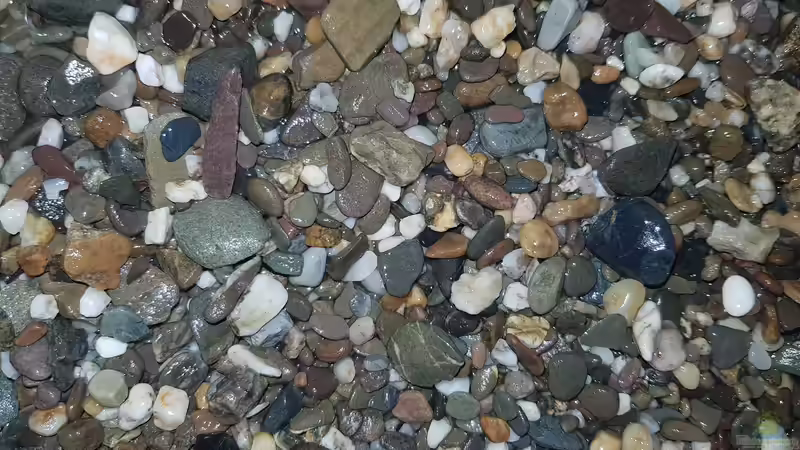 Dekoration im Aquarium 420l Mbuna von Venustus (3)