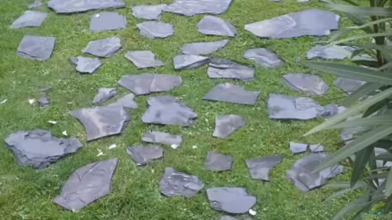 Dekoration im Aquarium 450 l Wurzelbiotop von Markaroni (21)