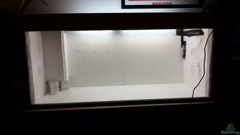 Dekoration im Aquarium 450 Liter Malawi von Michael Boeck (8)