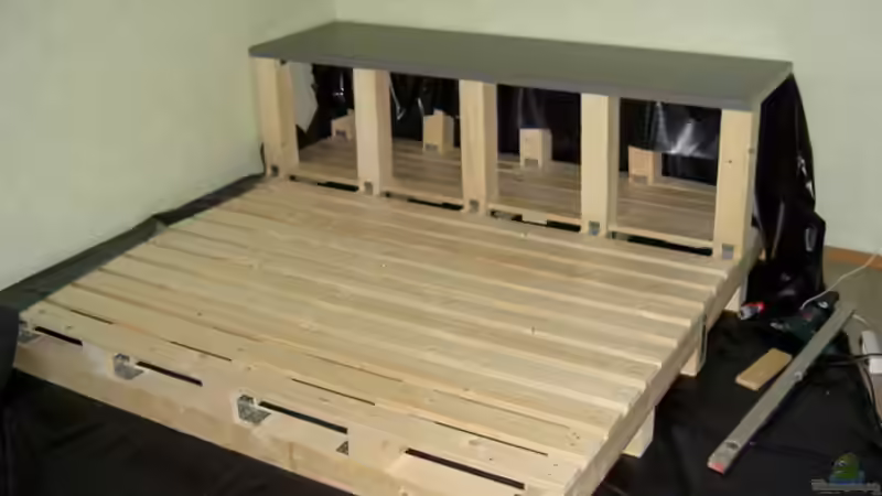 Dekoration im Aquarium 450l Gesellschafts-Pfütze ;) von kajakfreak (4)