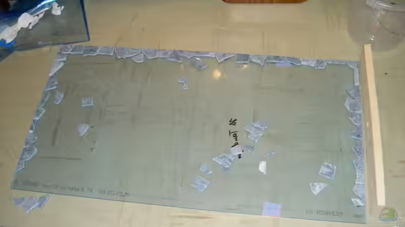 Dekoration im Aquarium 450l Gesellschafts-Pfütze ;) von kajakfreak (5)