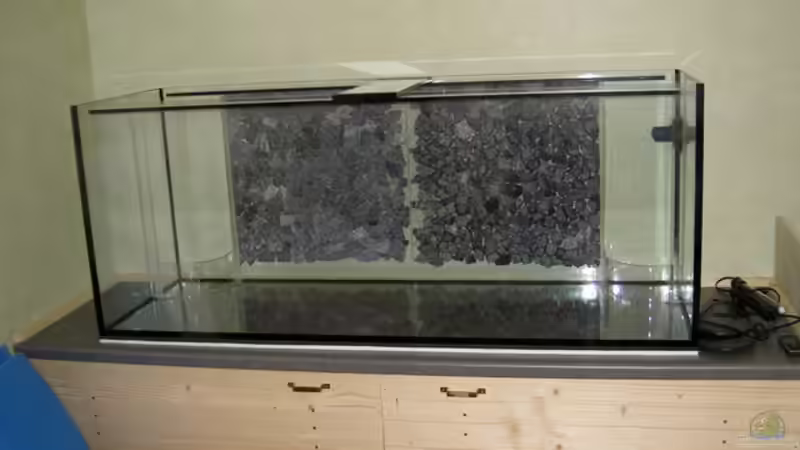 Dekoration im Aquarium 450l Gesellschafts-Pfütze ;) von kajakfreak (6)